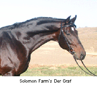 Der Graf